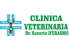 https://www.romaclublucania.it/wp-content/uploads/2022/06/PagSpons8.png